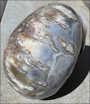 ~OOAK~ LifeSize Plume Agate CRYSTAL SKULL with Vugs, Parallax effect, Fantastic formations - 14lbs+