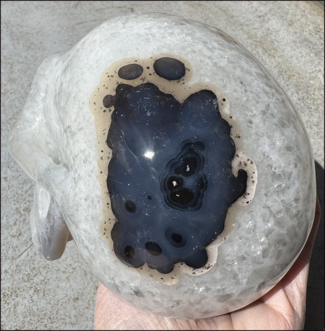 ~Super Sale~ Agate GEODE Crystal Skull with Dendritic inclusions, Vugs, Rainbows, "Floral" matrix!