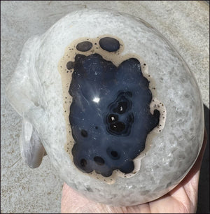 ~Super Sale~ Agate GEODE Crystal Skull with Dendritic inclusions, Vugs, Rainbows, "Floral" matrix!