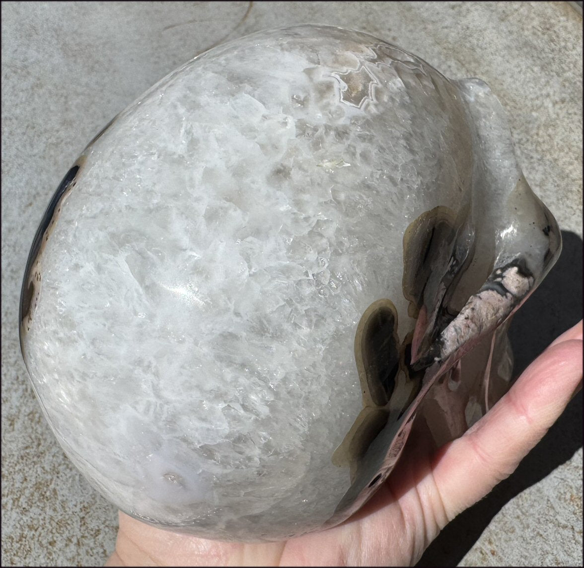 ~Super Sale~ Agate GEODE Crystal Skull with Dendritic inclusions, Vugs, Rainbows, "Floral" matrix!