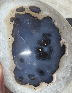 ~Super Sale~ Agate GEODE Crystal Skull with Dendritic inclusions, Vugs, Rainbows, "Floral" matrix!