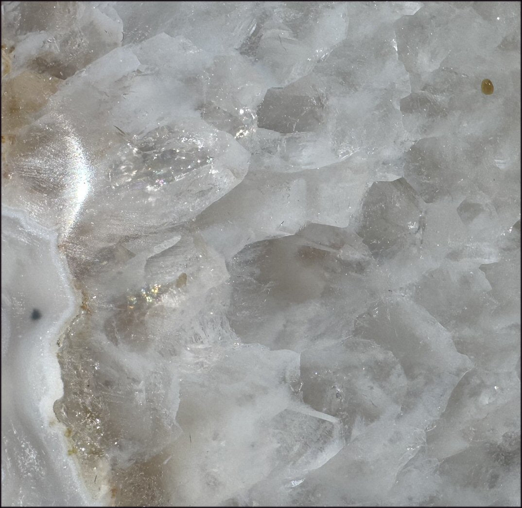 ~Super Sale~ Agate GEODE Crystal Skull with Dendritic inclusions, Vugs, Rainbows, "Floral" matrix!