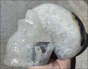 ~Super Sale~ Agate GEODE Crystal Skull with Dendritic inclusions, Vugs, Rainbows, "Floral" matrix!