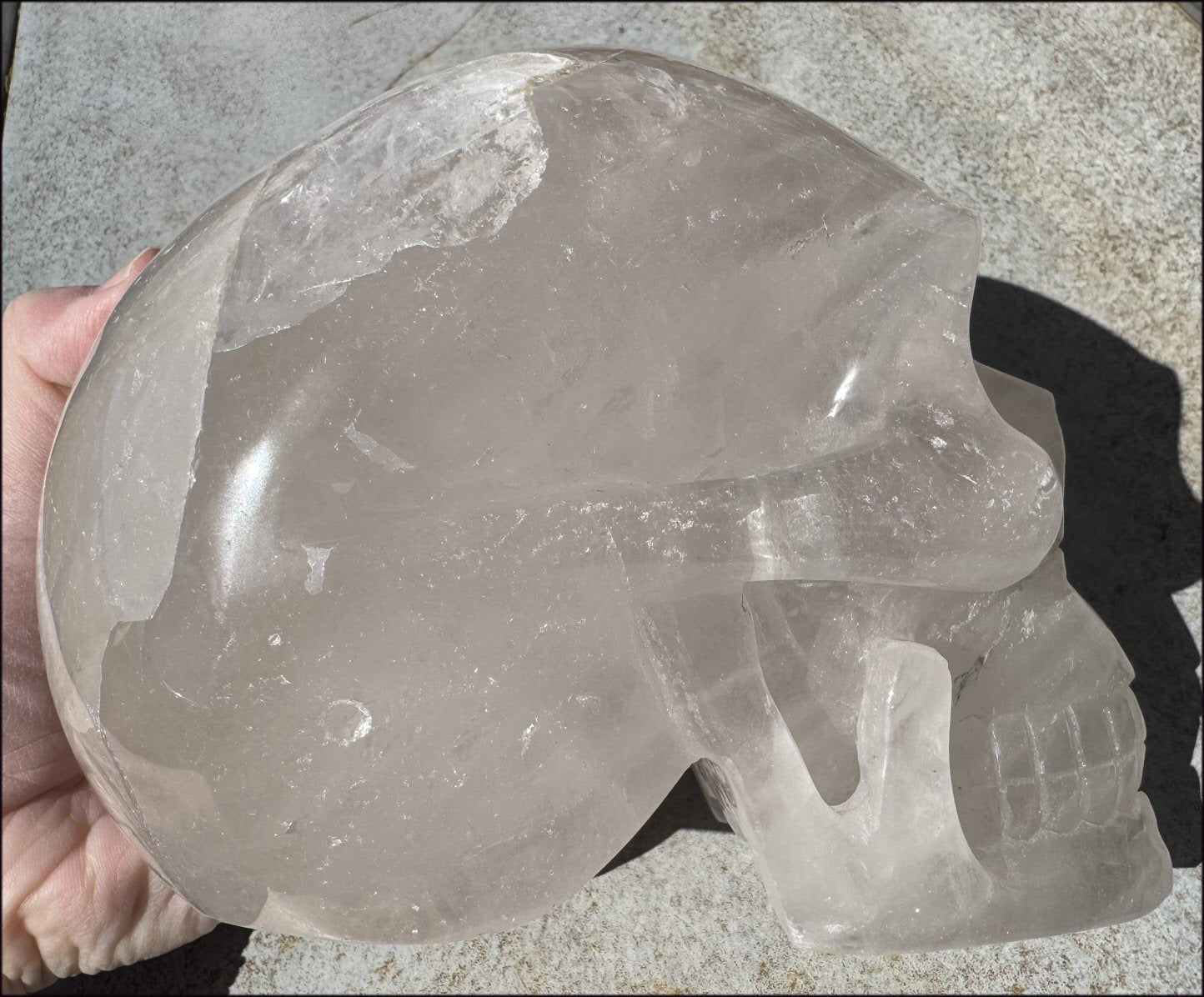 ~Super Sale!~ LifeSize Himalayan Quartz CRYSTAL SKULL with Portal Formation, Vugs, Organic matrix