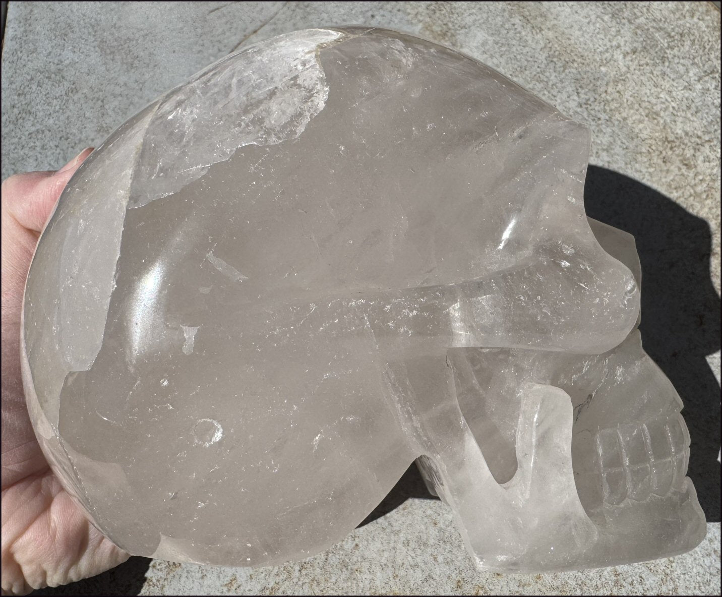 ~Super Sale!~ LifeSize Himalayan Quartz CRYSTAL SKULL with Portal Formation, Vugs, Organic matrix