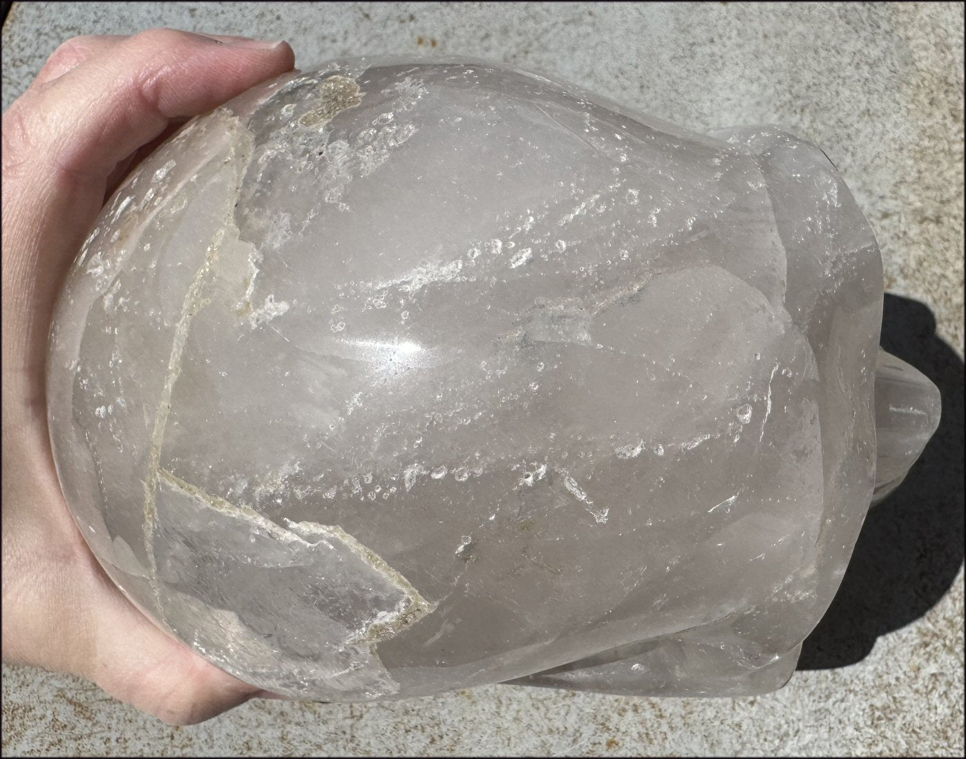 ~Super Sale!~ LifeSize Himalayan Quartz CRYSTAL SKULL with Portal Formation, Vugs, Organic matrix