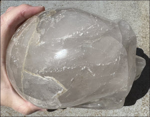 ~Super Sale!~ LifeSize Himalayan Quartz CRYSTAL SKULL with Portal Formation, Vugs, Organic matrix