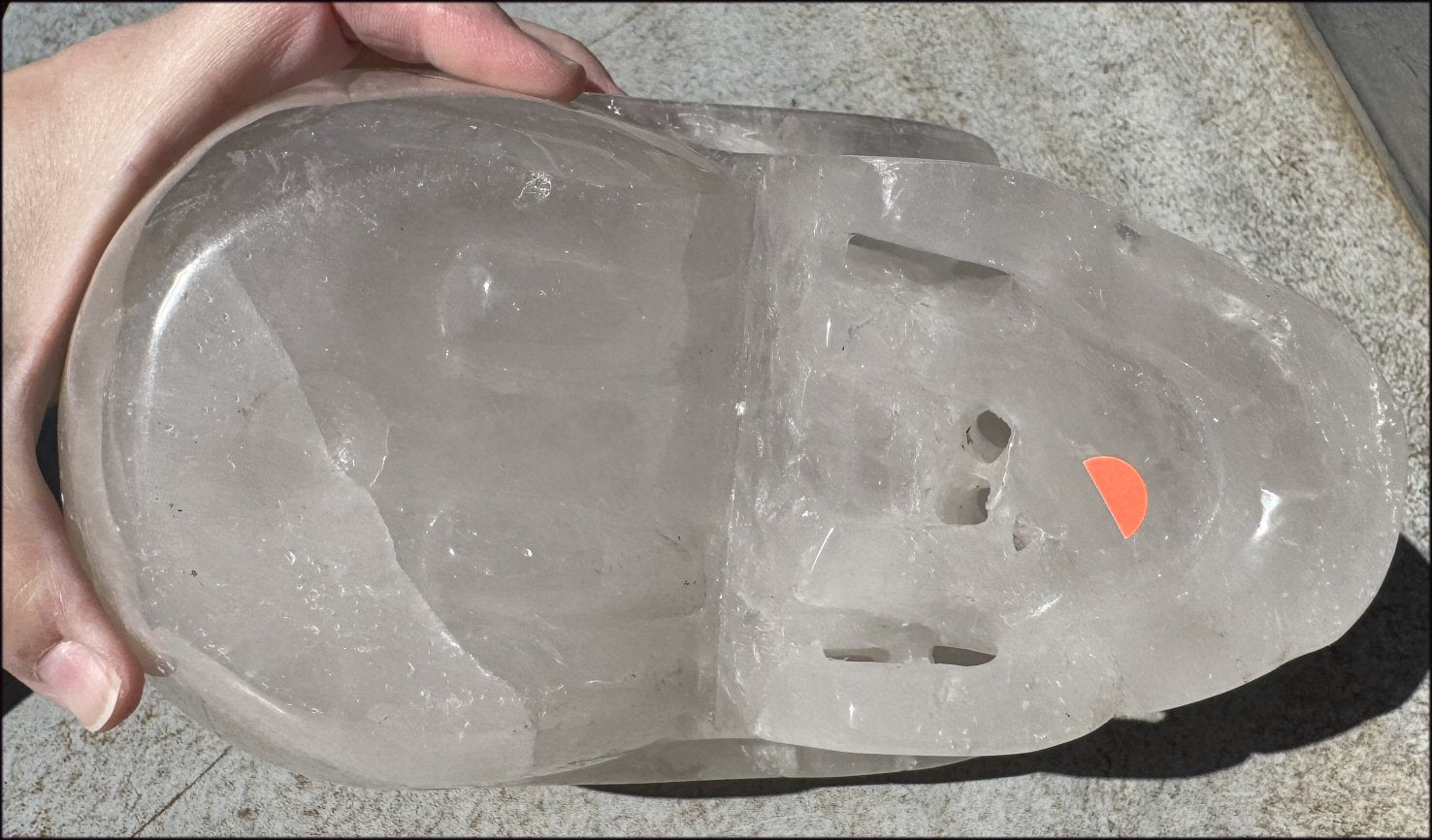 ~Super Sale!~ LifeSize Himalayan Quartz CRYSTAL SKULL with Portal Formation, Vugs, Organic matrix