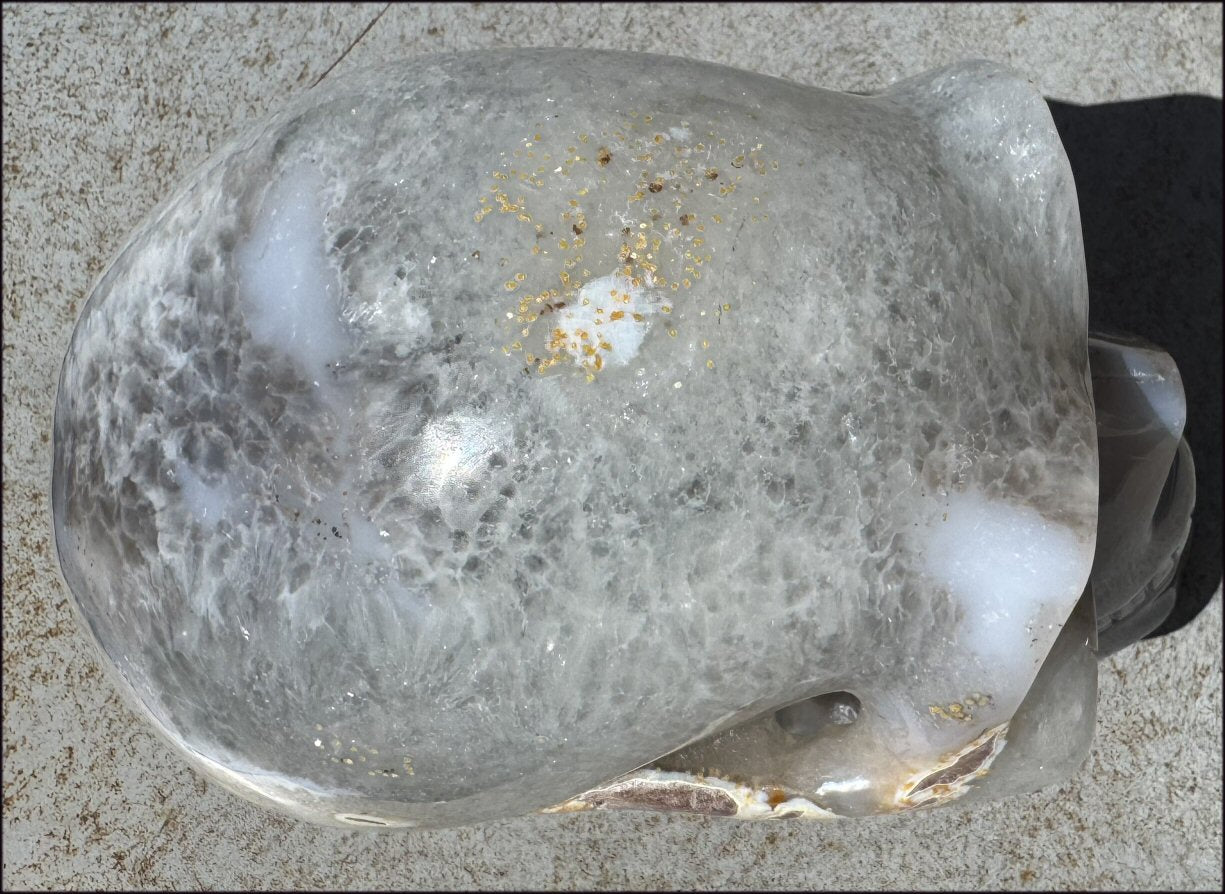 ~Super Sale!~ LifeSize Agate Geode Crystal Skull with Stardust Crown Chakra, Crystalline BLOSSOM formations