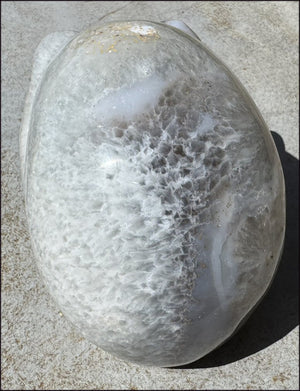 ~Super Sale!~ LifeSize Agate Geode Crystal Skull with Stardust Crown Chakra, Crystalline BLOSSOM formations