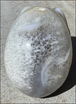 ~Super Sale!~ LifeSize Agate Geode Crystal Skull with Stardust Crown Chakra, Crystalline BLOSSOM formations