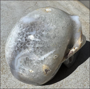 ~Super Sale!~ LifeSize Agate Geode Crystal Skull with Stardust Crown Chakra, Crystalline BLOSSOM formations