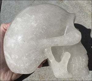 ~Super Sale~ LifeSize Himalayan Quartz Crystal Skull with Chlorite inclusions