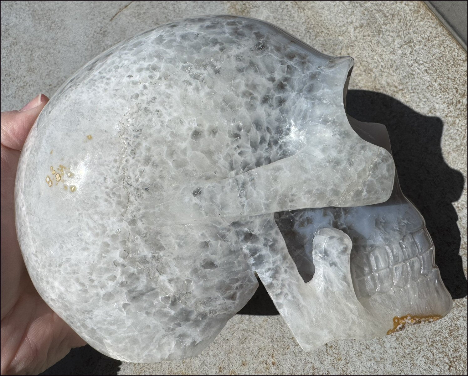 ~Super Sale~ LifeSize Agate GEODE Crystal Skull with Sparkly Druzy Lined Facial VUG!