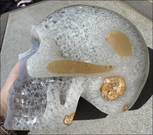 ~Super Sale~ LifeSize Agate GEODE Crystal Skull with Sparkly Druzy Lined Facial VUG!