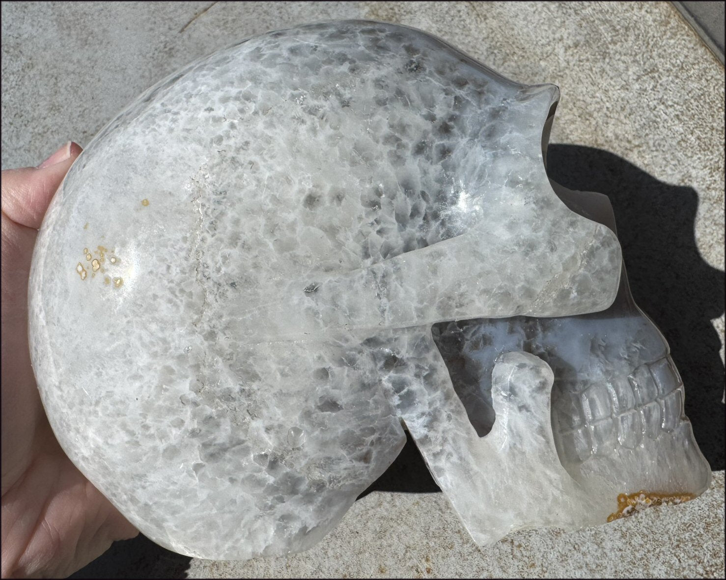 ~Super Sale~ LifeSize Agate GEODE Crystal Skull with Sparkly Druzy Lined Facial VUG!