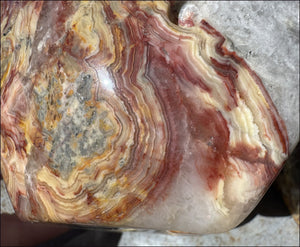 ~Super Sale~ LifeSize RED Crazy Lace Agate Crystal Skull - Laughter, Divination - 15lbs+