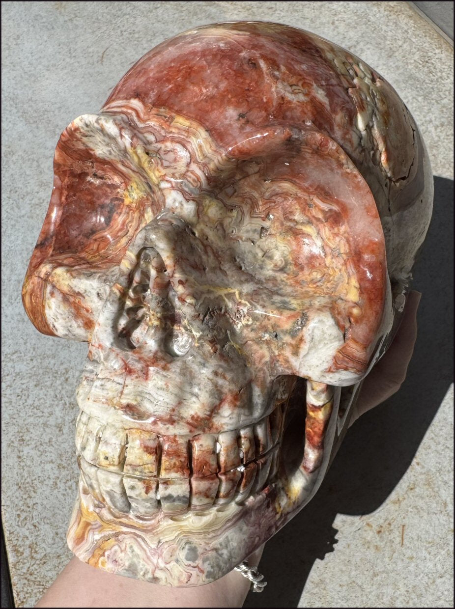 ~Super Sale~ LifeSize RED Crazy Lace Agate Crystal Skull - Laughter, Divination - 15lbs+