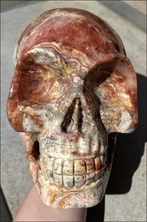 ~Super Sale~ LifeSize RED Crazy Lace Agate Crystal Skull - Laughter, Divination - 15lbs+