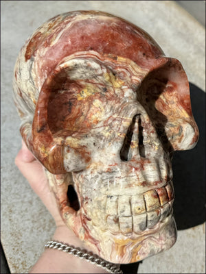 ~Super Sale~ LifeSize RED Crazy Lace Agate Crystal Skull - Laughter, Divination - 15lbs+