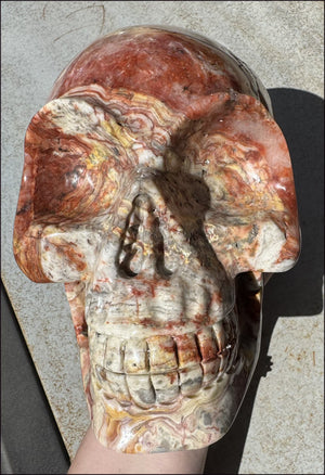 ~Super Sale~ LifeSize RED Crazy Lace Agate Crystal Skull - Laughter, Divination - 15lbs+