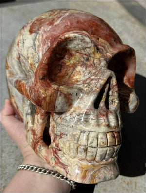 ~Super Sale~ LifeSize RED Crazy Lace Agate Crystal Skull - Laughter, Divination - 15lbs+