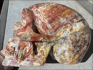 ~Super Sale~ LifeSize RED Crazy Lace Agate Crystal Skull - Laughter, Divination - 15lbs+