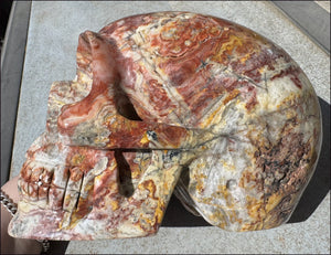 ~Super Sale~ LifeSize RED Crazy Lace Agate Crystal Skull - Laughter, Divination - 15lbs+