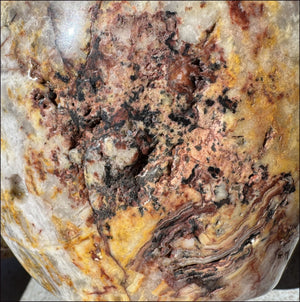 ~Super Sale~ LifeSize RED Crazy Lace Agate Crystal Skull - Laughter, Divination - 15lbs+