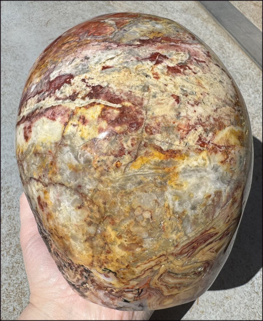 ~Super Sale~ LifeSize RED Crazy Lace Agate Crystal Skull - Laughter, Divination - 15lbs+