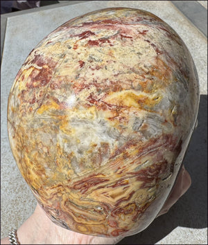 ~Super Sale~ LifeSize RED Crazy Lace Agate Crystal Skull - Laughter, Divination - 15lbs+