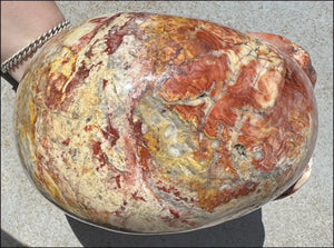 ~Super Sale~ LifeSize RED Crazy Lace Agate Crystal Skull - Laughter, Divination - 15lbs+