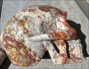 ~Super Sale~ LifeSize RED Crazy Lace Agate Crystal Skull - Laughter, Divination - 15lbs+