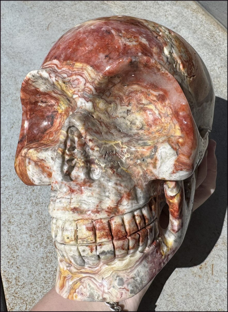 ~Super Sale~ LifeSize RED Crazy Lace Agate Crystal Skull - Laughter, Divination - 15lbs+