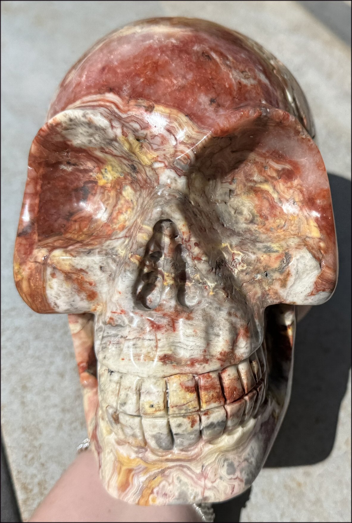 ~Super Sale~ LifeSize RED Crazy Lace Agate Crystal Skull - Laughter, Divination - 15lbs+