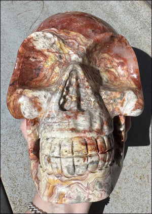 ~Super Sale~ LifeSize RED Crazy Lace Agate Crystal Skull - Laughter, Divination - 15lbs+