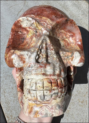 ~Super Sale~ LifeSize RED Crazy Lace Agate Crystal Skull - Laughter, Divination - 15lbs+