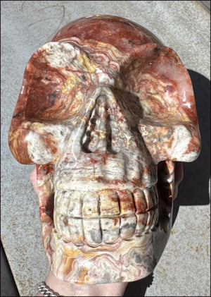 ~Super Sale~ LifeSize RED Crazy Lace Agate Crystal Skull - Laughter, Divination - 15lbs+