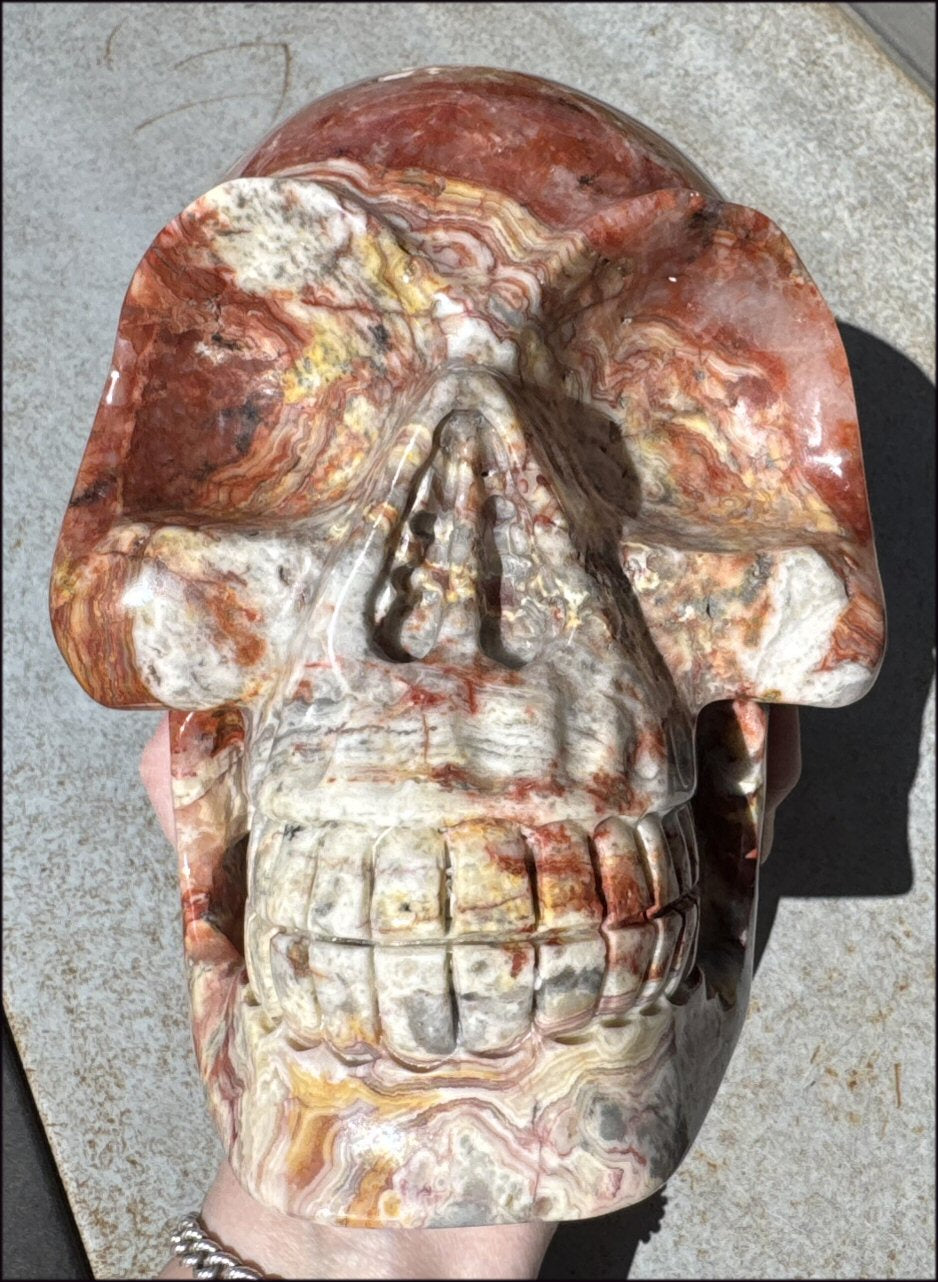 ~Super Sale~ LifeSize RED Crazy Lace Agate Crystal Skull - Laughter, Divination - 15lbs+