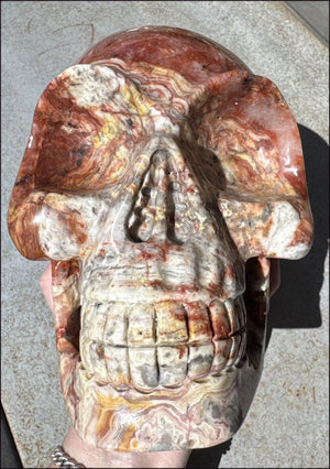 ~Super Sale~ LifeSize RED Crazy Lace Agate Crystal Skull - Laughter, Divination - 15lbs+