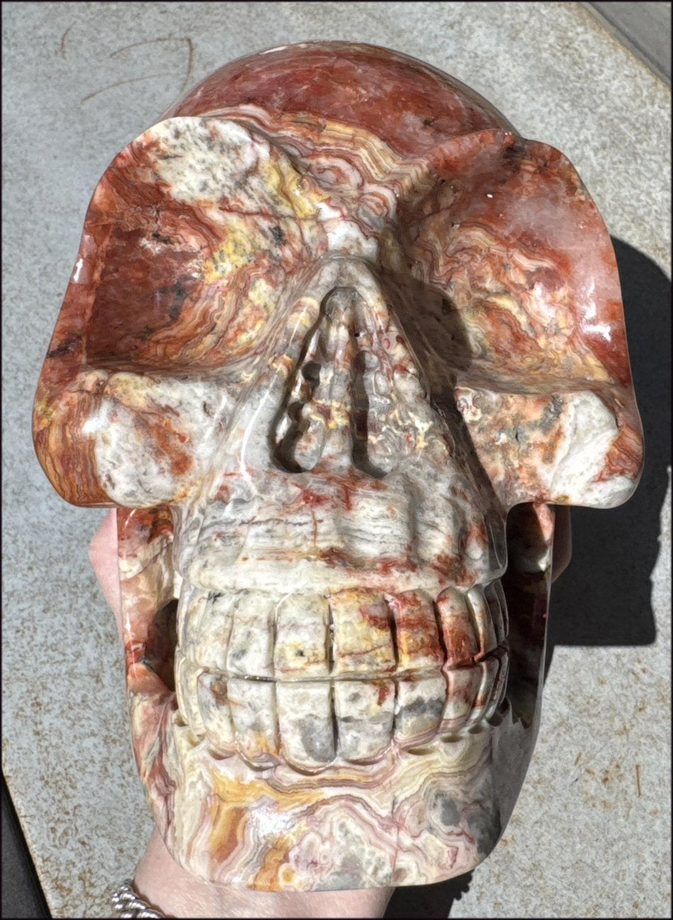 ~Super Sale~ LifeSize RED Crazy Lace Agate Crystal Skull - Laughter, Divination - 15lbs+