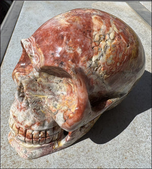 ~Super Sale~ LifeSize RED Crazy Lace Agate Crystal Skull - Laughter, Divination - 15lbs+