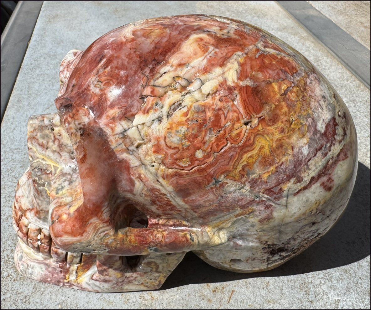 ~Super Sale~ LifeSize RED Crazy Lace Agate Crystal Skull - Laughter, Divination - 15lbs+