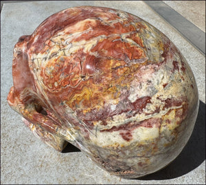 ~Super Sale~ LifeSize RED Crazy Lace Agate Crystal Skull - Laughter, Divination - 15lbs+