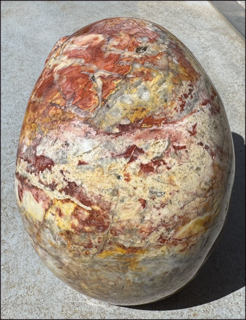 ~Super Sale~ LifeSize RED Crazy Lace Agate Crystal Skull - Laughter, Divination - 15lbs+