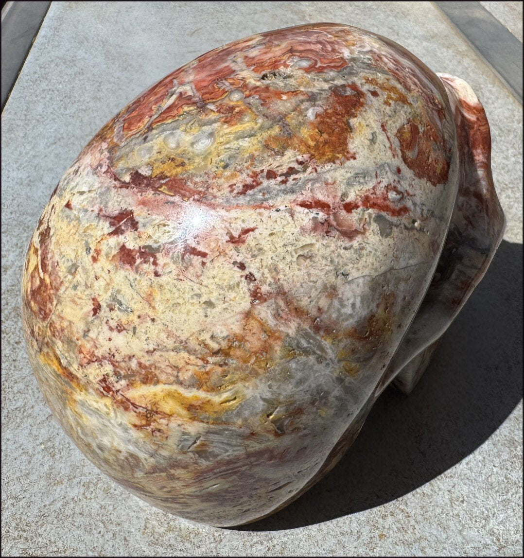 ~Super Sale~ LifeSize RED Crazy Lace Agate Crystal Skull - Laughter, Divination - 15lbs+