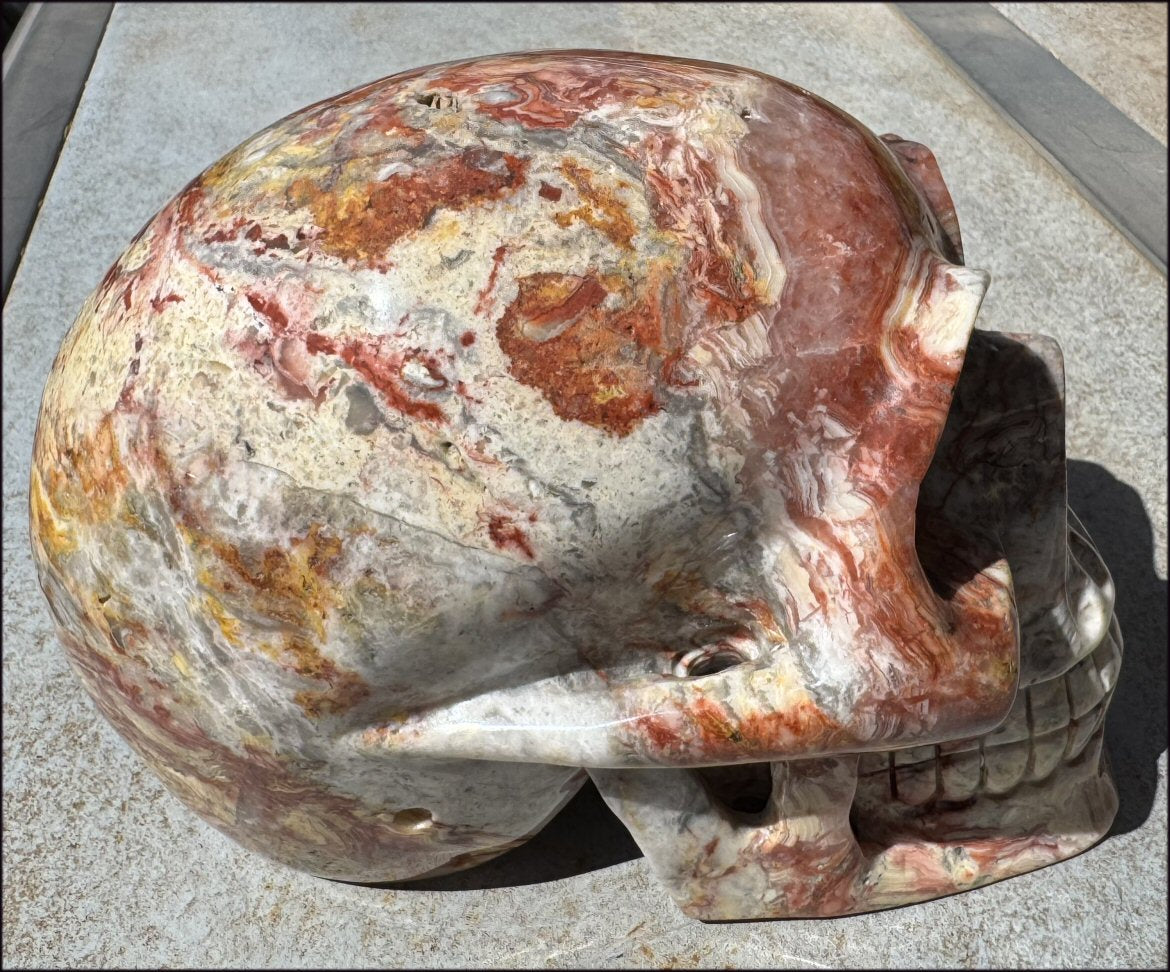 ~Super Sale~ LifeSize RED Crazy Lace Agate Crystal Skull - Laughter, Divination - 15lbs+