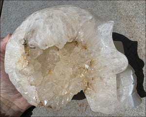 ~Super Sale~ LifeSize Plume Agate GEODE Crystal skull with STUNNING huge Vug, Hematite, Rainbows, Dendritic inclusions