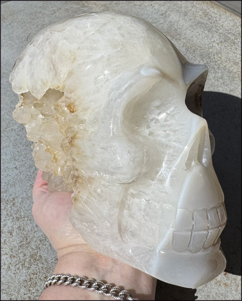 ~Super Sale~ LifeSize Plume Agate GEODE Crystal skull with STUNNING huge Vug, Hematite, Rainbows, Dendritic inclusions