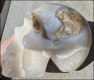 ~Super Sale~ LifeSize Plume Agate GEODE Crystal skull with STUNNING huge Vug, Hematite, Rainbows, Dendritic inclusions